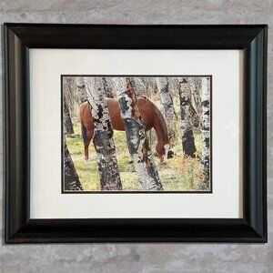 Fine Art HORSE in ASPEN Original Photography 11 x 14 Print Signed with COA